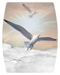 DAREC 101 BZ Journey Home Clouds Birds Bronze